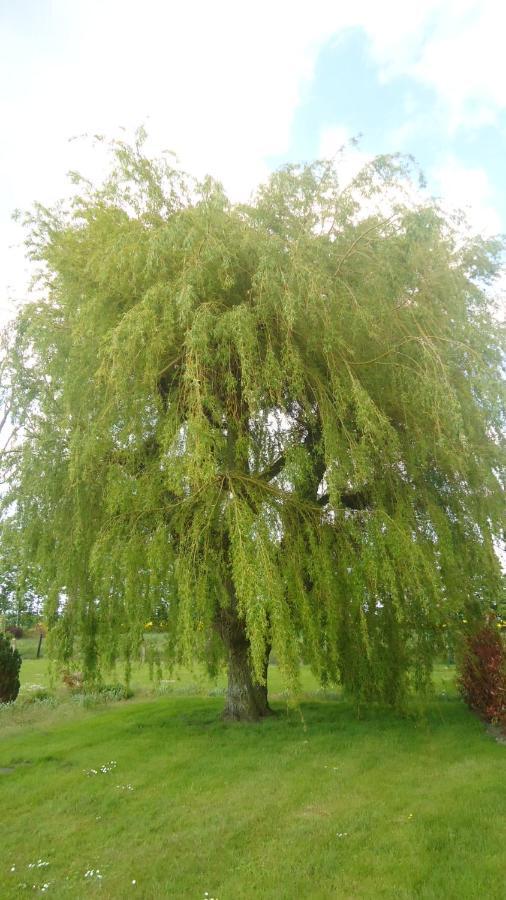 Au Grand Saule Villa Les Attaques Kamer foto